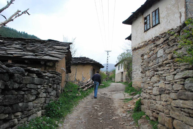 Гостуша као наслеђе